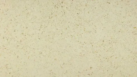Лотарингия