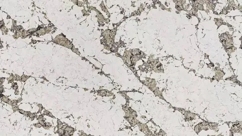Patagonia Martinica