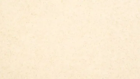 Пломбир