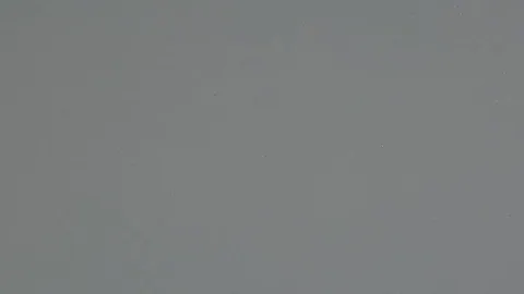 Серебристый Жемчуг