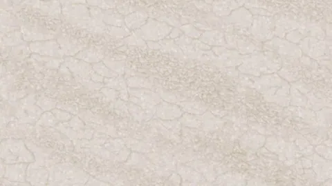 Королевский бежевый